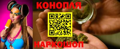 шишки Аргун