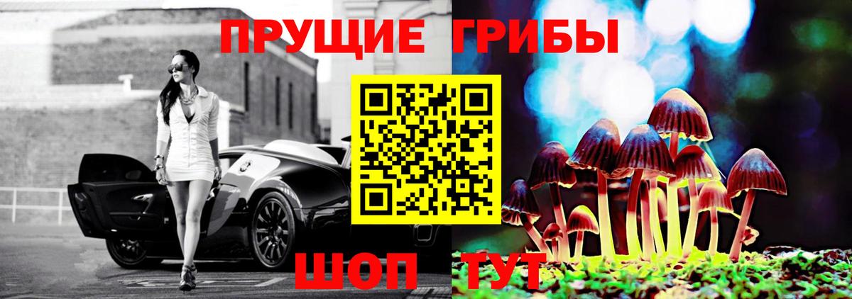Псилоцибиновые грибы мицелий Белебей